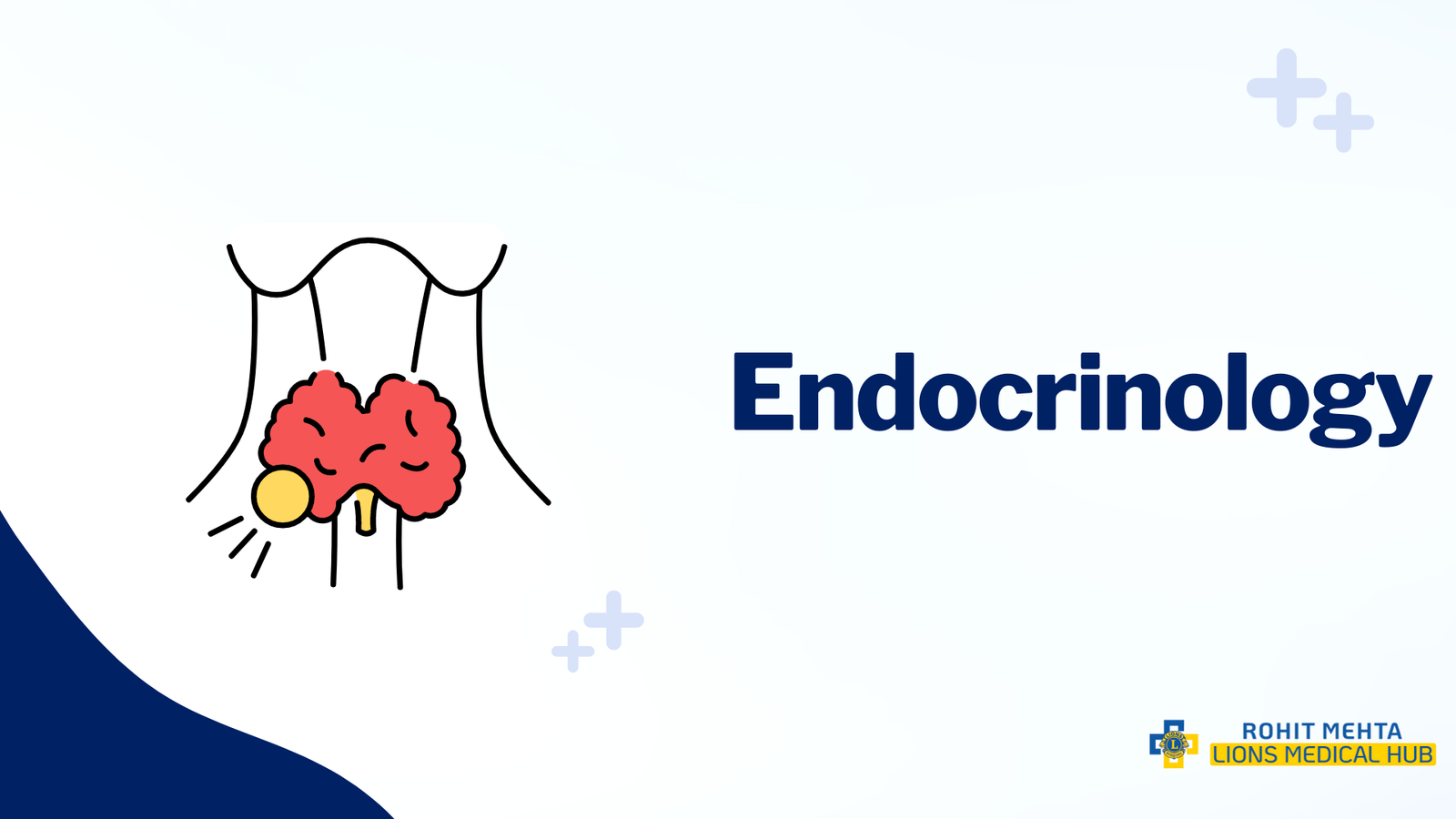 This Graphical Image is Representing about 'Endocrinology Service at Lions Hospital'