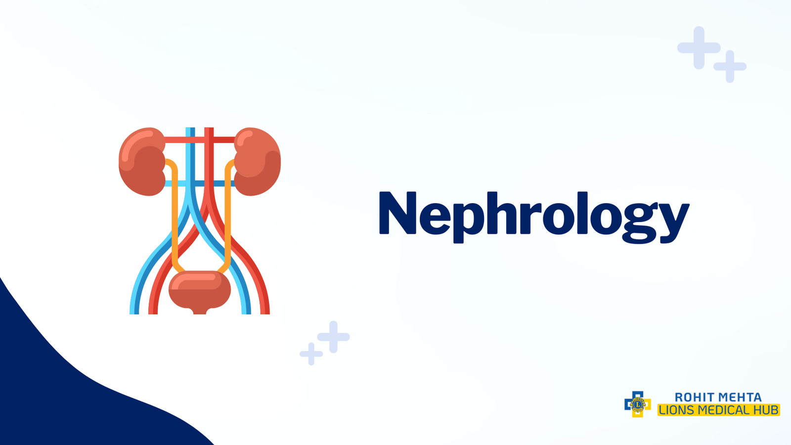 This Graphical Image is Representing about 'Nephrology Service at Lions Hospital'